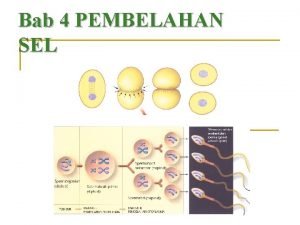 Bab 4 pembelahan sel