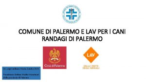 COMUNE DI PALERMO E LAV PER I CANI