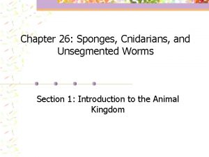 Chapter 26 Sponges Cnidarians and Unsegmented Worms Section