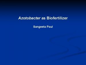 Azotobacter as Biofertilizer Sangeeta Paul Azotobacter belongs to