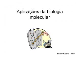 Aplicaes da biologia molecular Erlane Ribeiro FMJ DOENAS