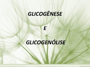 GLICOGNESE E GLICOGENLISE Glicognese Processo bioqumico que transforma