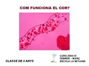 Com funciona el cor