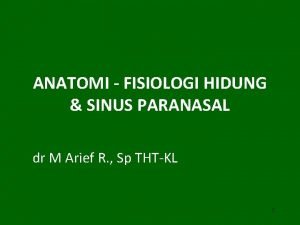 ANATOMI FISIOLOGI HIDUNG SINUS PARANASAL dr M Arief