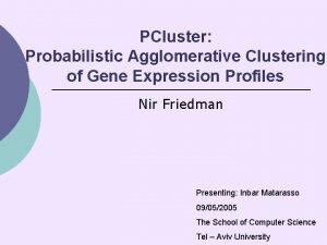 PCluster Probabilistic Agglomerative Clustering of Gene Expression Profiles