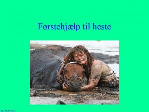 Hald ege hestepraksis Hald ege hestepraksis
