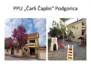 PPU arli aplin Podgorica Od kad postoji broj