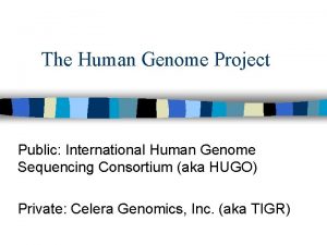 The Human Genome Project Public International Human Genome