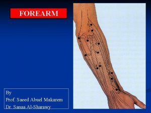 FOREARM By Prof Saeed Abuel Makarem Dr Sanaa