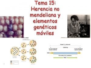 Tema 15 Herencia no mendeliana y elementos genticos