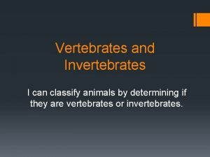 Vertebrates are classified as