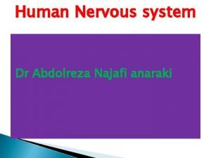 Human Nervous system Dr Abdolreza Najafi anaraki Divisions