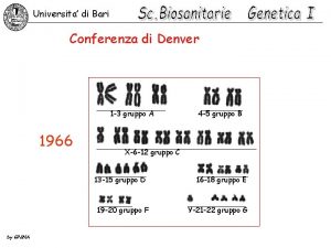 Universita di Bari Conferenza di Denver 1 3