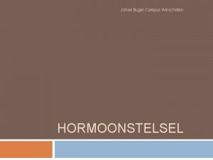 Johan Bugel Campus Winschoten HORMOONSTELSEL Wat doen hormonen