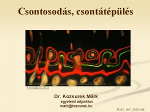 Csontosods csonttpls http www sandgrains comBodyGalleryCloseBone Formation html