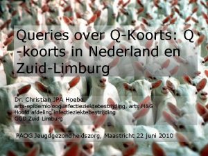 Queries over QKoorts Q koorts in Nederland en