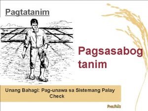 Sabog tanim meaning