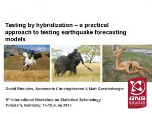 Testing by hybridization a practical approach to testing