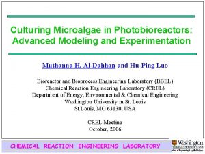 Culturing Microalgae in Photobioreactors Advanced Modeling and Experimentation
