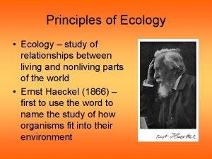 Principles of Ecology Ecology study of relationships between