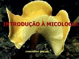 INTRODUO MICOLOGIA conceitos gerais O que Micologia a