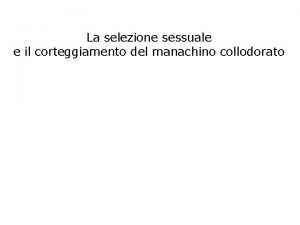 La selezione sessuale e il corteggiamento del manachino