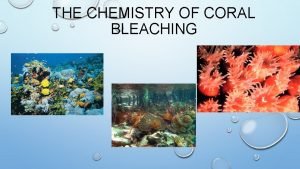 Coral bleaching chemistry