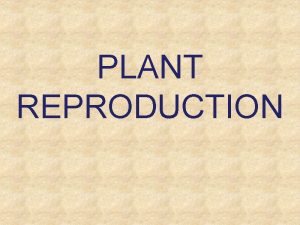 PLANT REPRODUCTION Plant Reproduction What Are the Basic