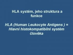 HLA systm jeho struktura a funkce HLA Human