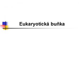 Eukaryotick buka Jadern Eukaryota n n n Slovo