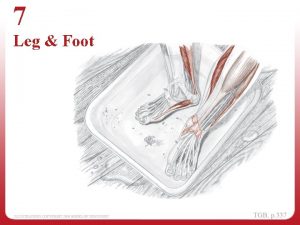 Foot topography Foot topography