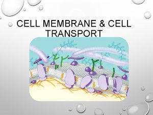 CELL MEMBRANE CELL TRANSPORT CELL MEMBRANE Cell membrane