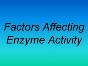 Factors Affecting Enzyme Activity Enzymes are large globular