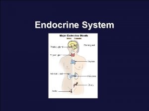 Endocrine System Endocrine System The endocrine system includes