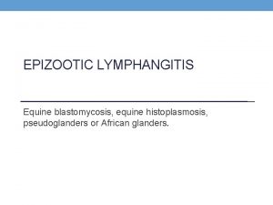 EPIZOOTIC LYMPHANGITIS Equine blastomycosis equine histoplasmosis pseudoglanders or