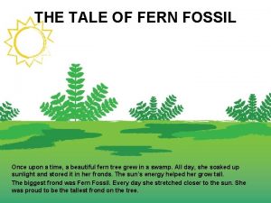 THE TALE OF FERN FOSSIL Once upon a