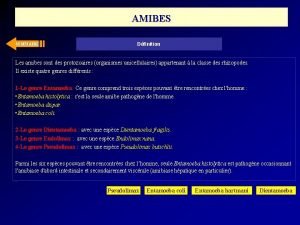 AMIBES SOMMAIRE Dfinition Les amibes sont des protozoaires