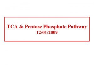 TCA Pentose Phosphate Pathway 12012009 Citrate Synthase Induced