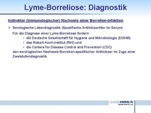 LymeBorreliose Diagnostik Indirekter immunologischer Nachweis einer BorrelienInfektion Serologische