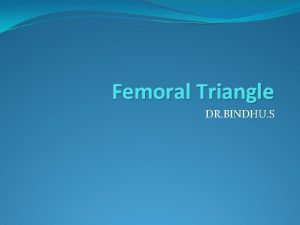 Femoral triangle applied anatomy