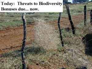 Today Threats to Biodiversity Bonuses due now Why