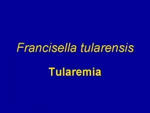 Tularemia gram stain