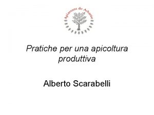 Pratiche per una apicoltura produttiva Alberto Scarabelli 1