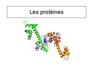 Les protines Prsentation Les protines sont la base