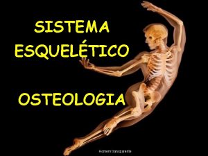 SISTEMA ESQUELTICO OSTEOLOGIA Homem transparente Ossos Os ossos