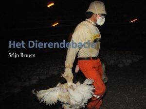 Het Dierendebacle Stijn Bruers De titel De werkelijke