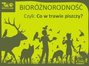 BIORNORODNO Czyli Co w trawie piszczy Biornorodno bogactwo