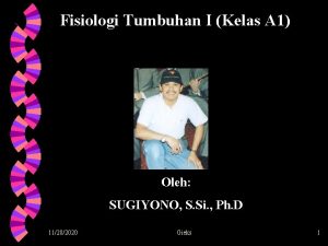 Fisiologi Tumbuhan I Kelas A 1 Oleh SUGIYONO