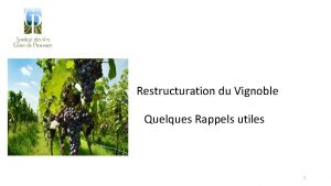 Restructuration du Vignoble Quelques Rappels utiles 1 Quest