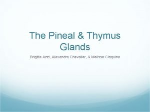 The Pineal Thymus Glands Brigitte Azzi Alexandra Chevalier
